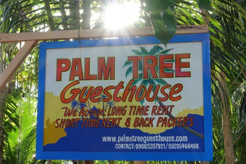 Palm Tree Guesthouse Siquijor Exteriör bild